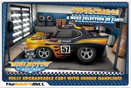 mini-motor-racing mini-motor-racing
