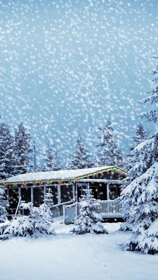 wallpaper wallpaper