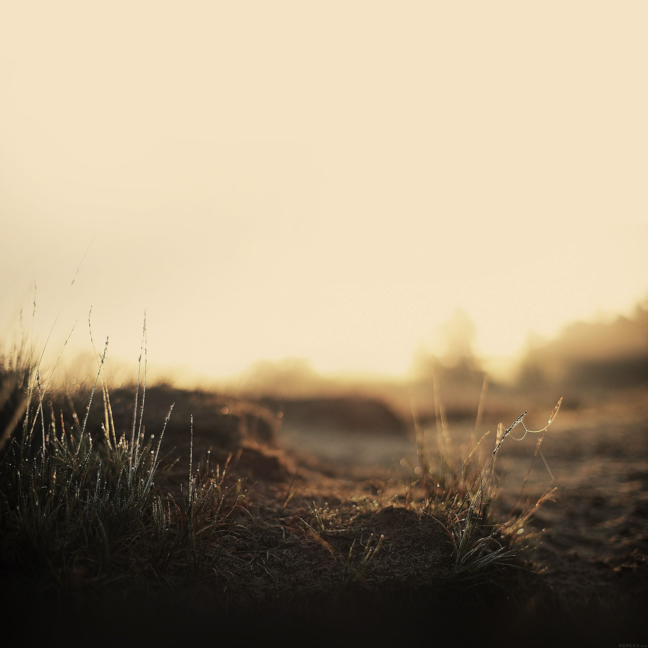 nature wallpaper ipad