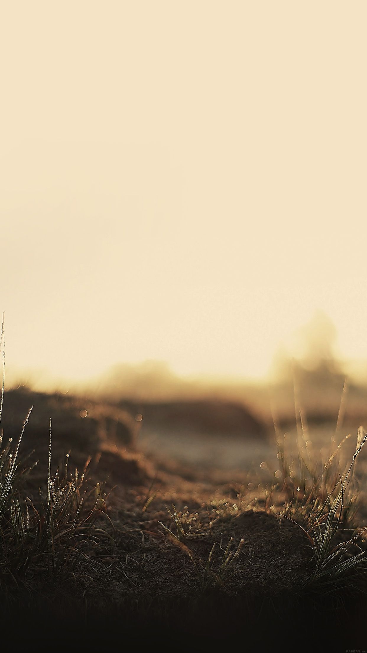 nature wallpaper iphone6