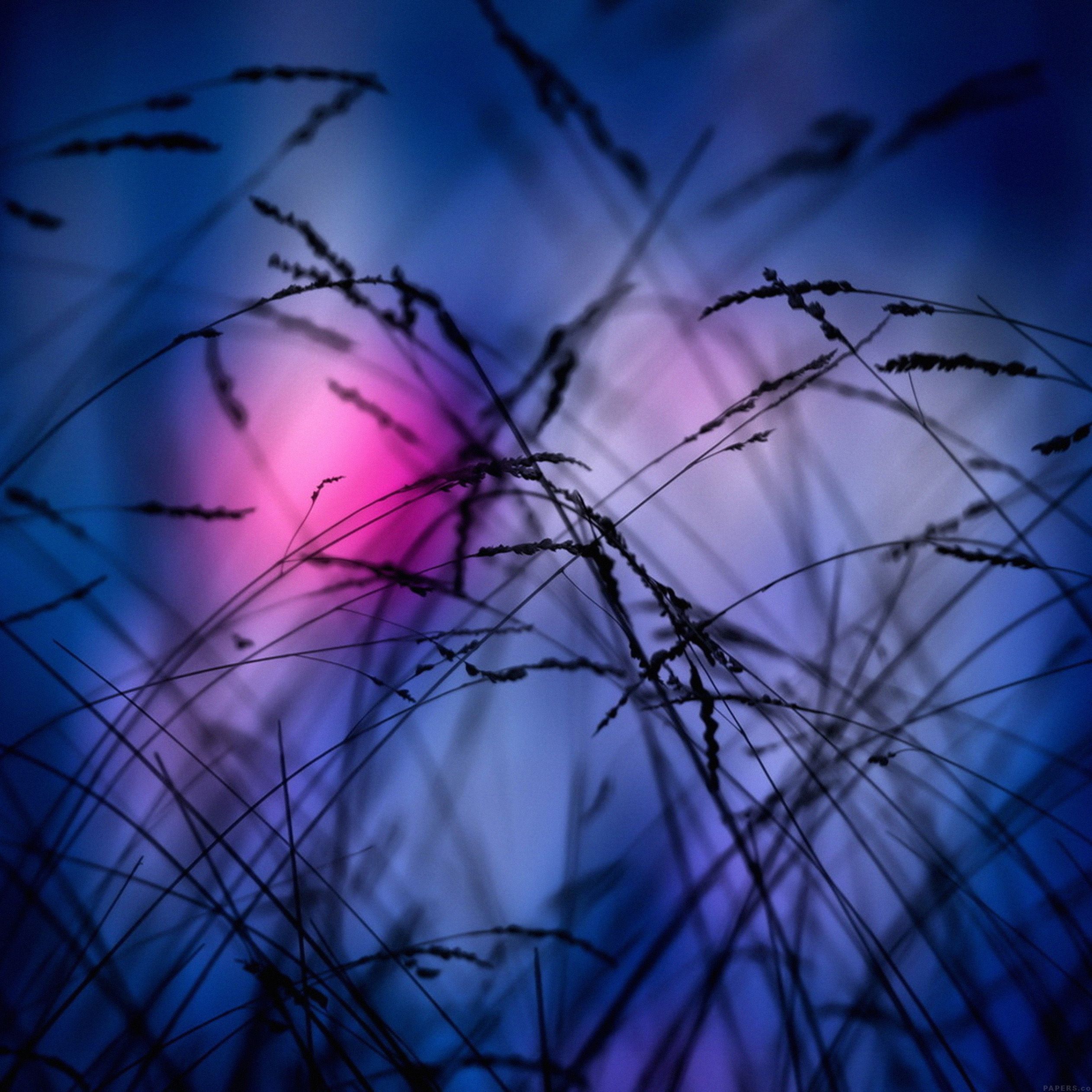 wallpaper blur flou colors apple ipad1 wallpaper blur flou colors apple ipad1