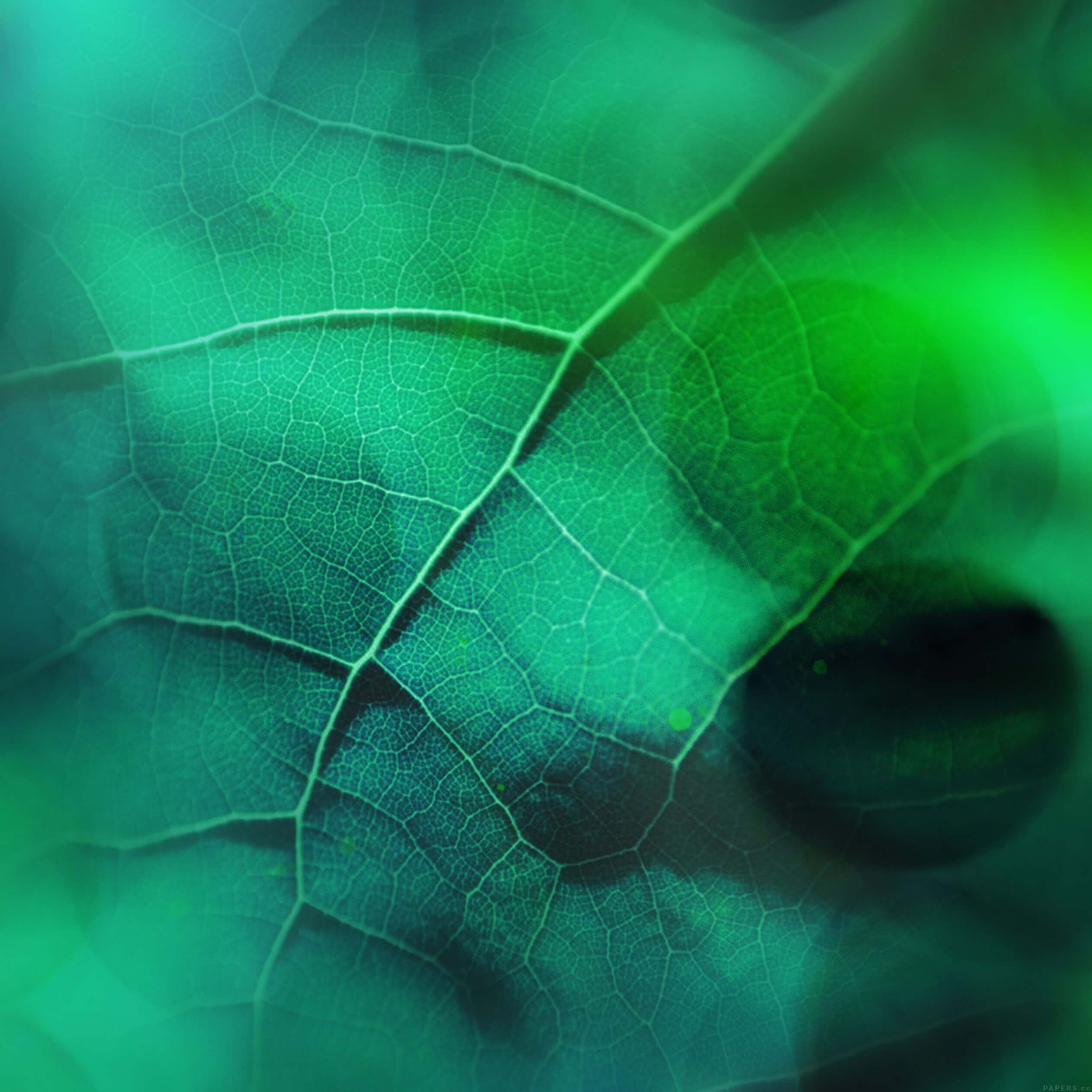 wallpaper nature decouverte 2 ipad wallpaper nature decouverte 2 ipad