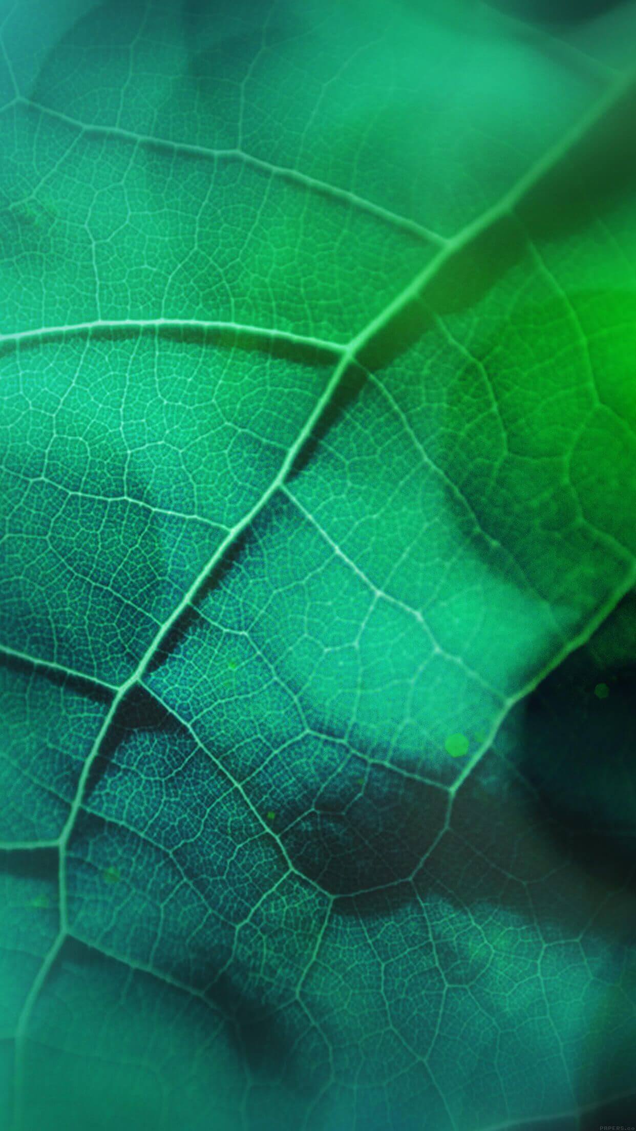 wallpaper nature decouverte 2 iphone wallpaper nature decouverte 2 iphone