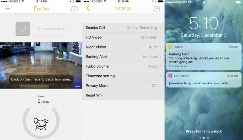 furbo nourriture chien furbo nourriture chien