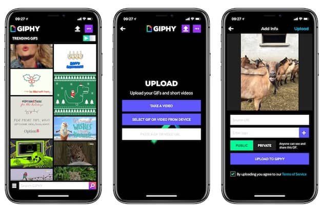 giphy app giphy app