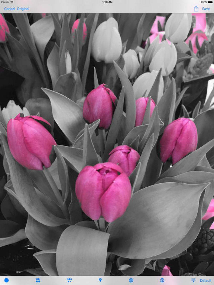 pointillisted-photo-artwork-ge ipa pointillisted-photo-artwork-ge ipa