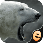 puzzle-de-joie-ours-polaire-po ipa ipad iphone