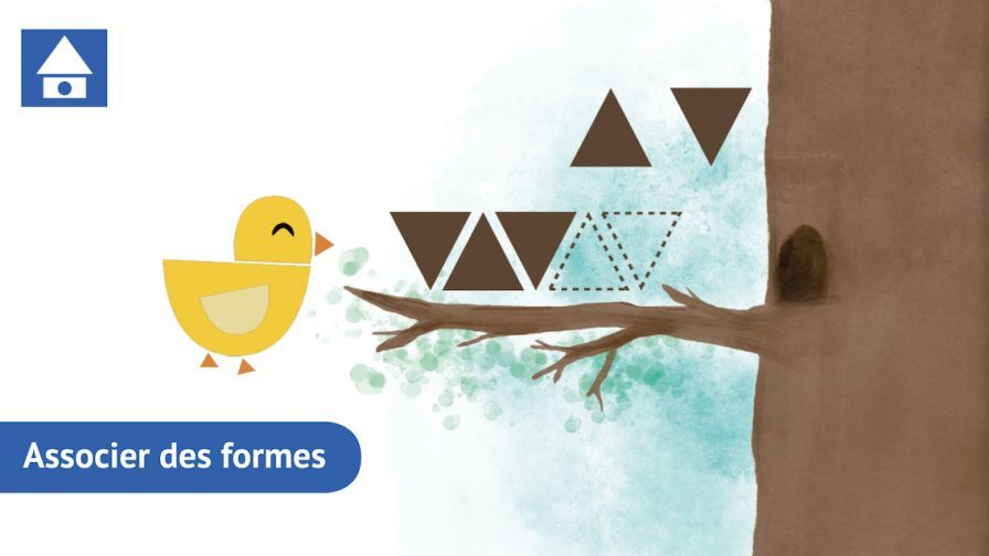 shape-gurus ipa shape-gurus ipa