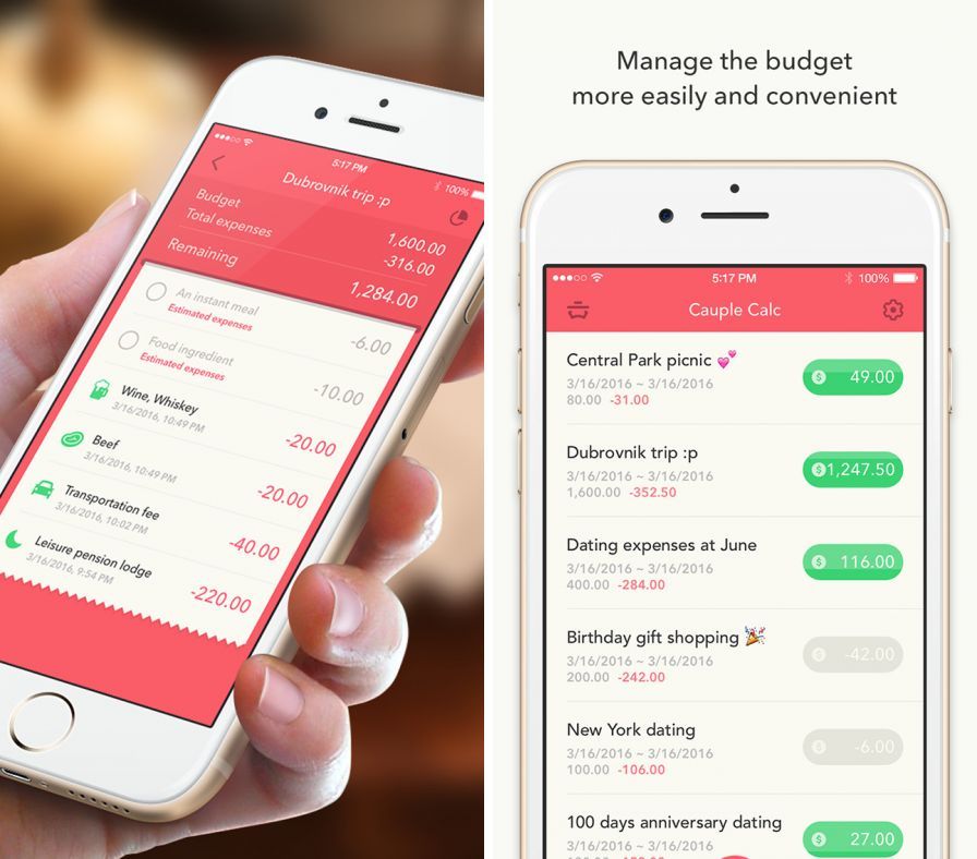 minibudget-pro-spending-simula ipa minibudget-pro-spending-simula ipa