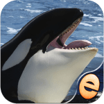 puzzles-orca-pour-enfants-bodi ipa ipad iphone
