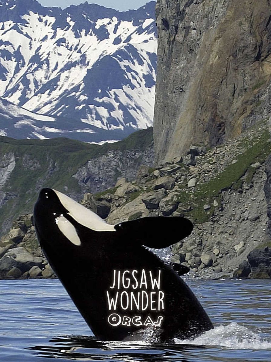 puzzles-orca-pour-enfants-bodi ipa puzzles-orca-pour-enfants-bodi ipa