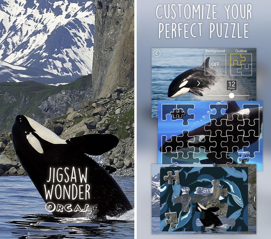 puzzles-orca-pour-enfants-bodi ipa