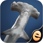 casse-tb-te-de-requin-pour-la- ipa iphone ipad