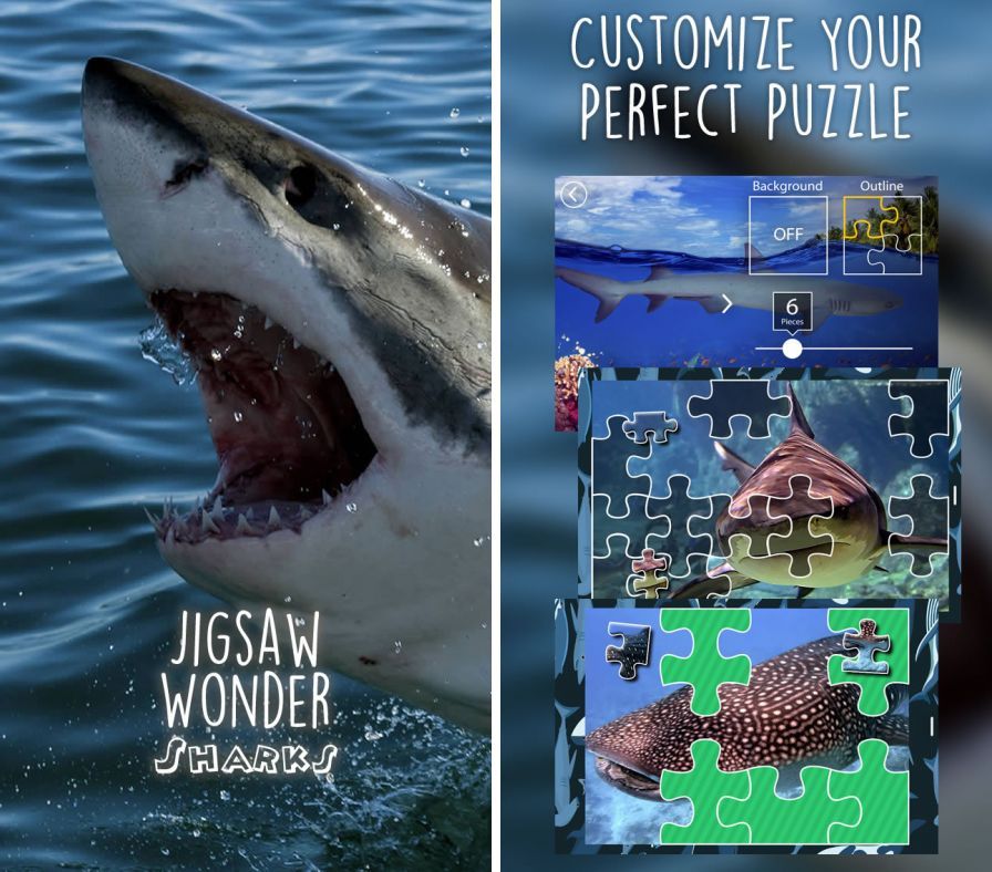 casse-tb-te-de-requin-pour-la- ipa casse-tb-te-de-requin-pour-la- ipa