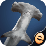 shark puzzles icone jeu ipa iphone ipad