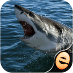 puzzles-de-requins-pour-les-en ipa iphone ipad puzzles-de-requins-pour-les-en ipa iphone ipad