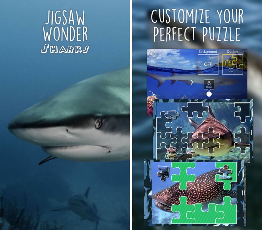 puzzles-de-requins-pour-les-en ipa puzzles-de-requins-pour-les-en ipa
