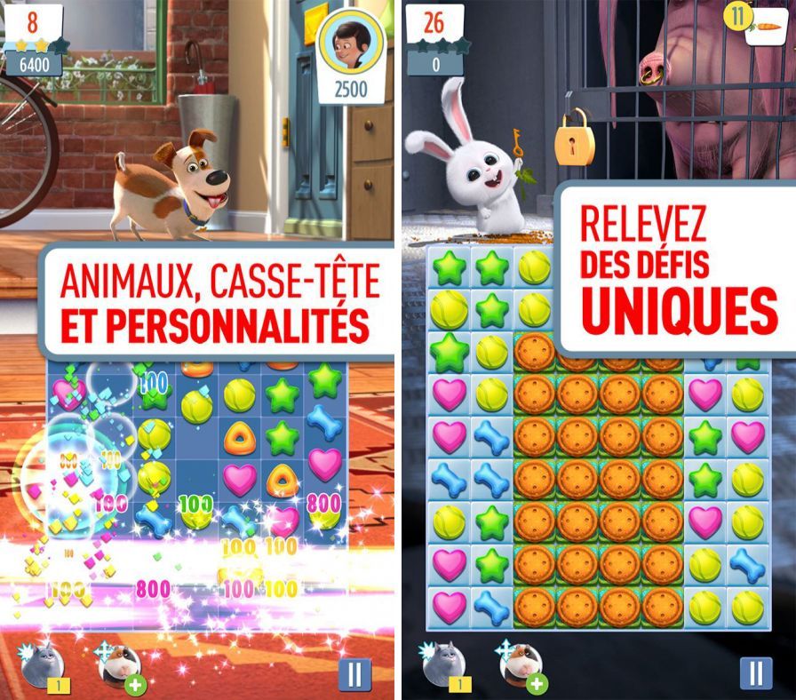 comme-des-bb-tes-animaux-db-ch ipa comme-des-bb-tes-animaux-db-ch ipa