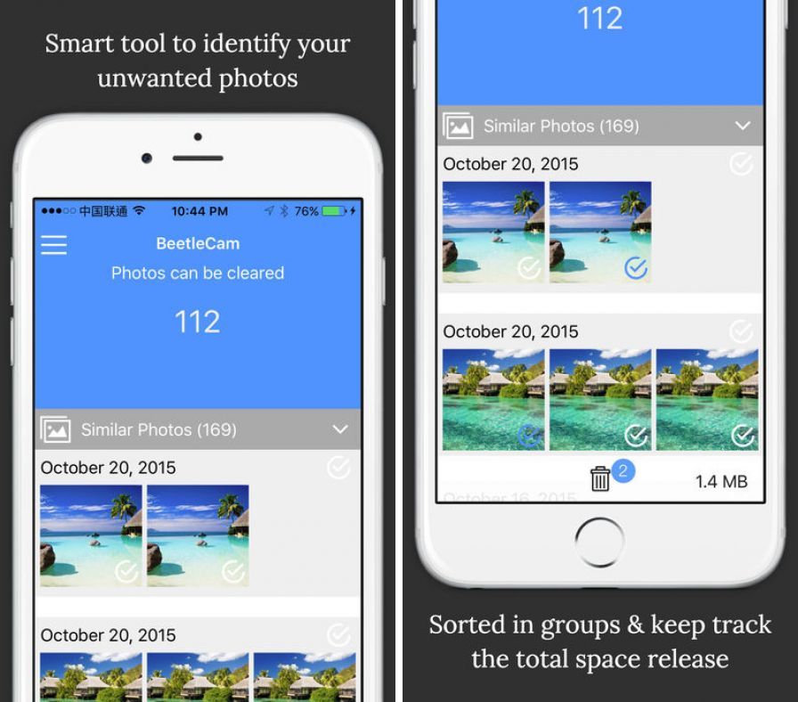 beetlecam-gallery-cleaner-dupl ipa beetlecam-gallery-cleaner-dupl ipa