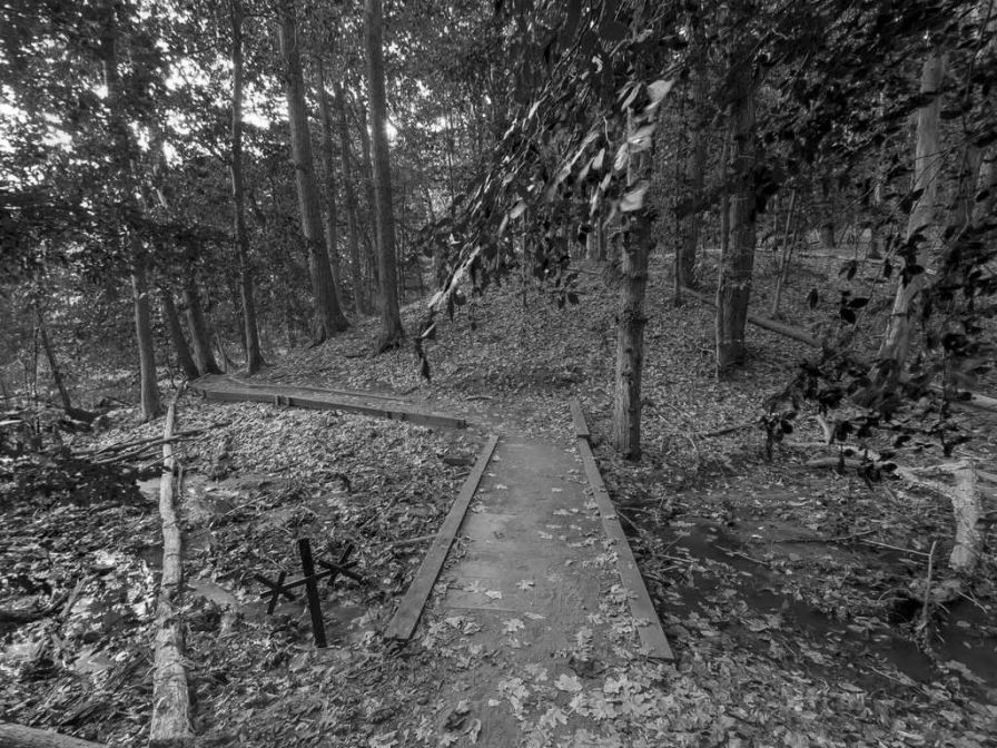 wardwell-house ipa wardwell-house ipa