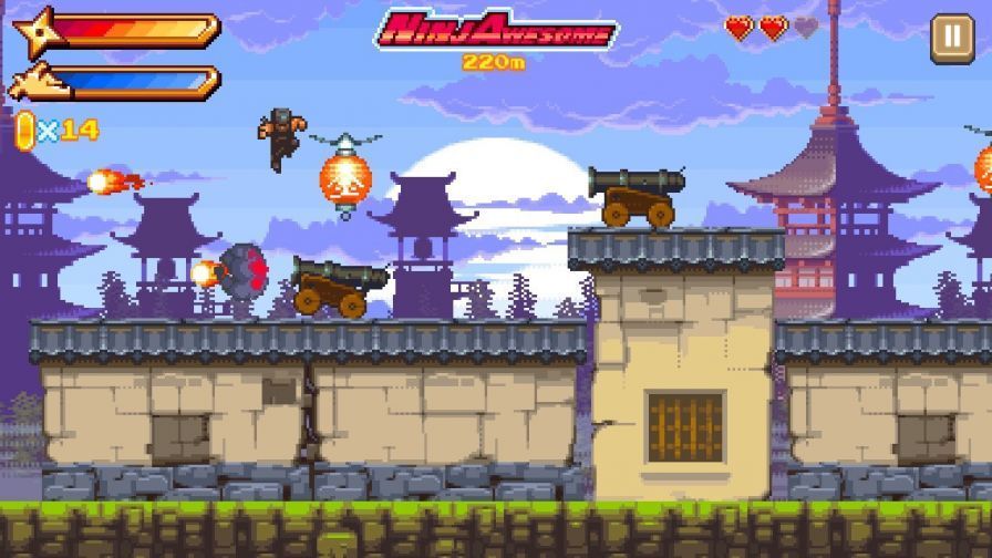 ninjawesome ipa ninjawesome ipa