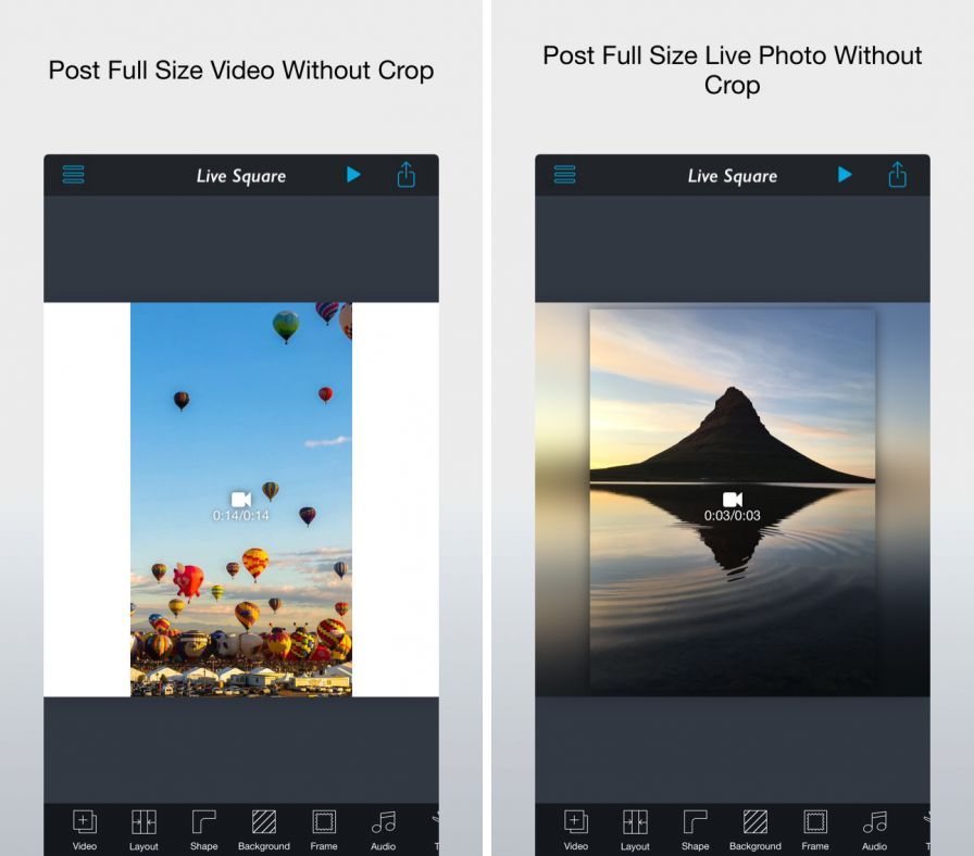 live-square-post-full-size-liv ipa live-square-post-full-size-liv ipa