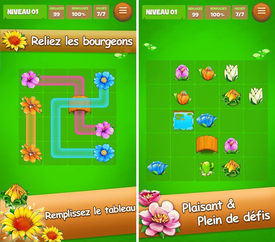 jardin-de-fleurs-relier-la-man ipa