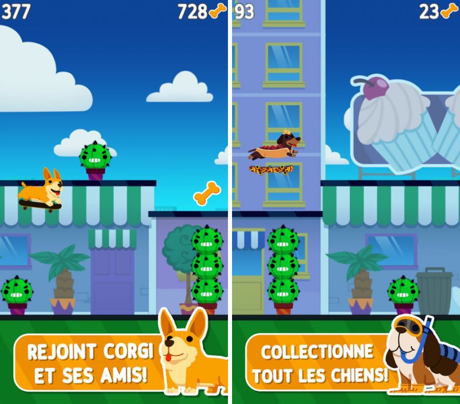 corgi-pro-skater ipa corgi-pro-skater ipa