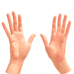 handsy ipa ipad iphone handsy ipa ipad iphone