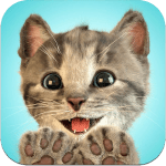 little kitten mon chat prb fb  icon