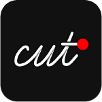 cut icon