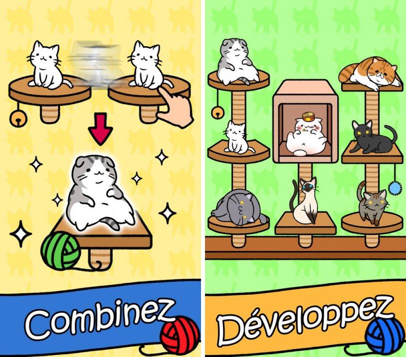 Cat Condo download the new version for apple