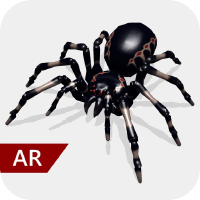 ar spiders icone app ipa iphone ipad