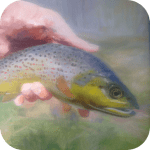 plans peche en france icon