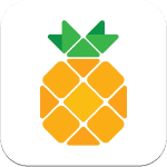 pineapple build apps icone app ipa iphone ipad