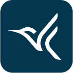 Vite, la sonnette connectée vidéo sans fil d'Arlo est en promotion