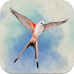 wingspan A tire dailes icone jeu ipa iphone ipad