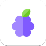 niam tasty editor icon