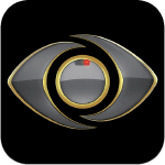 big brother the game icon