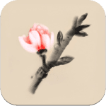 mirages d hiver icon