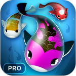 zen koi pro icone jeu ipa iphone ipad