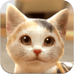 with my cat icone jeu ipa iphone ipad