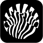 Apple lance l'application Platoon for Artists