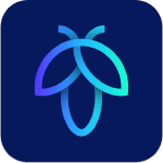 flyscreen icone app ipa iphone ipad