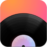 vinyls icon