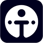 ternoa wallet icon