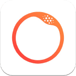 circular ring icon