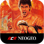 burning fight aca neogeo icon