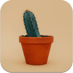 plant hunter icone app ipa iphone