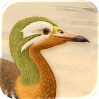 art of fauna icone jeu ipa iphone ipad